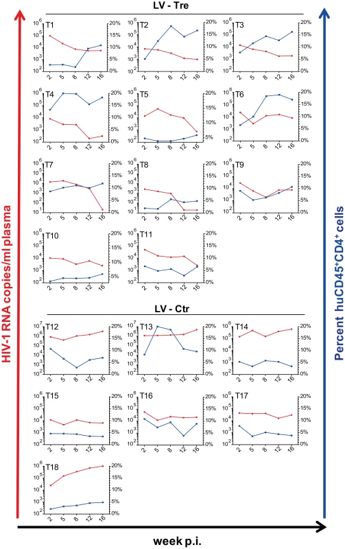Suppression of plasma viremia in mice engrafted with Tre-modified human CD4<sup>+</sup> T cells.