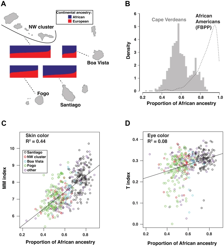 Relationship of geography and ancestry to skin and eye color.
