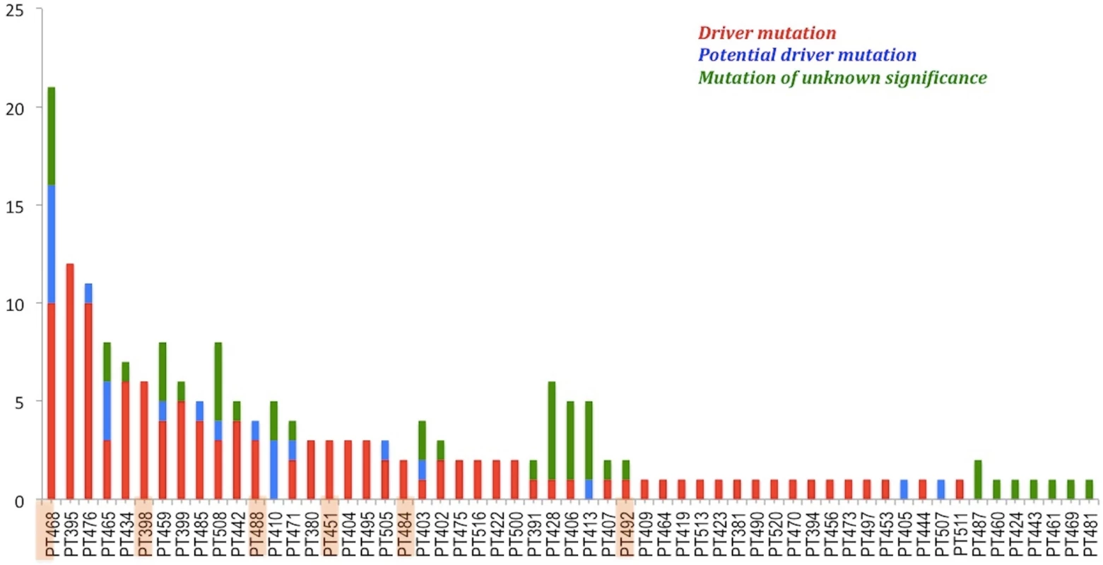 Patients with somatic mutations identified by NGS using the targeted 12-gene panel.