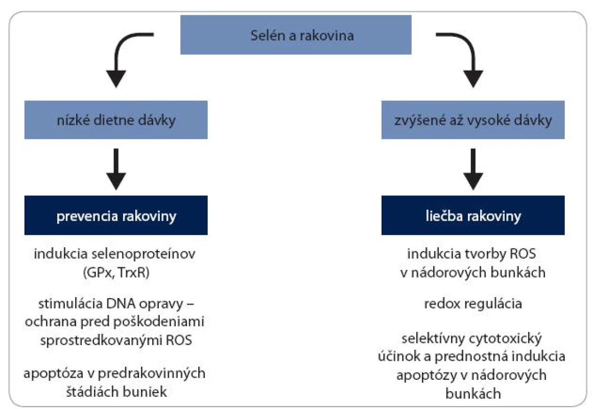 Selén a rakovina. Prebraté z práce [45].
