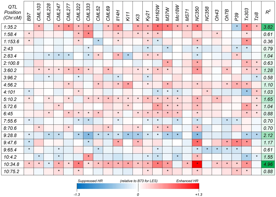 Heat map showing additive allelic effects for the HTR across 24 NAM founder lines relative to the common B73 parent.