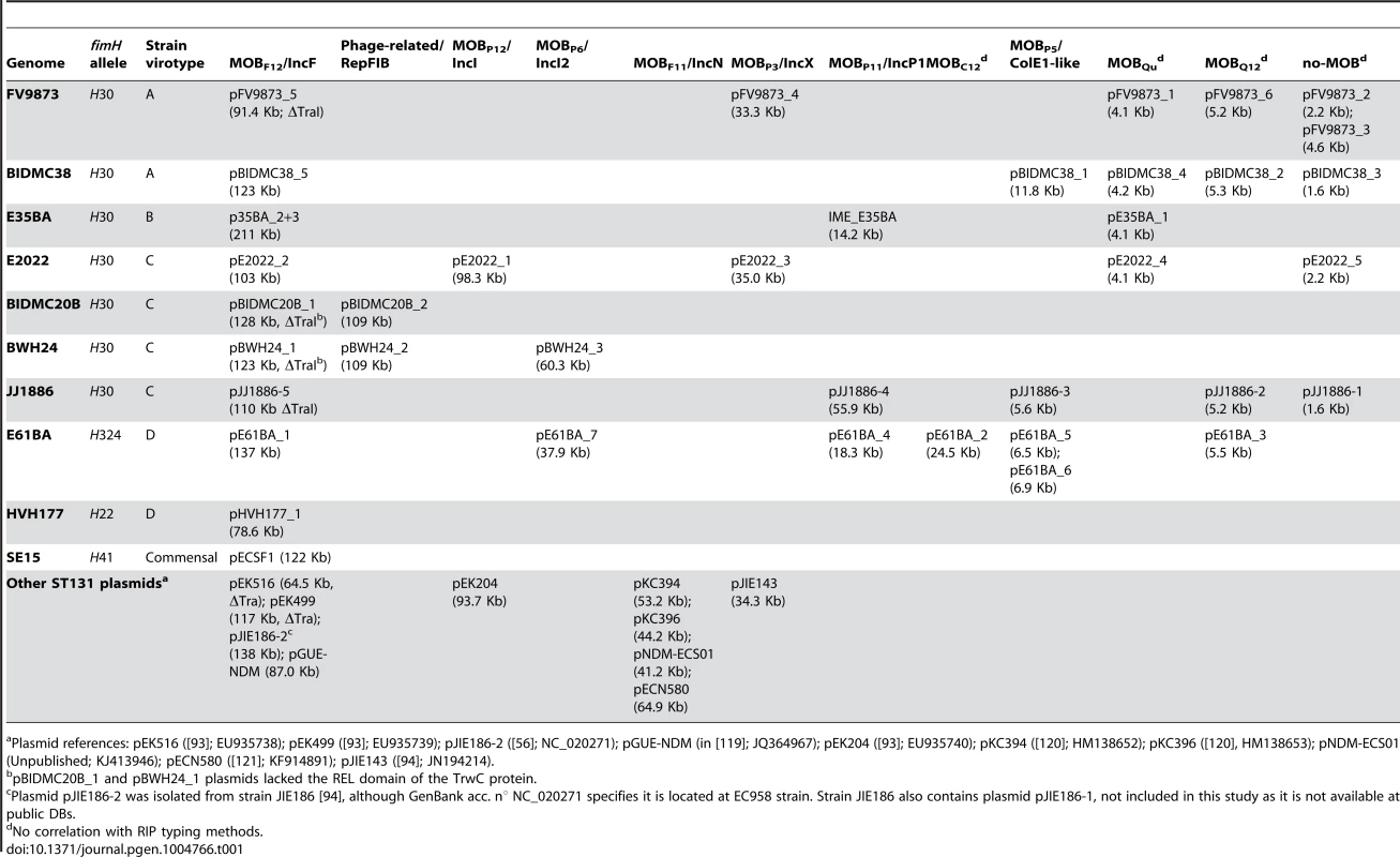 Summary of plasmid content.