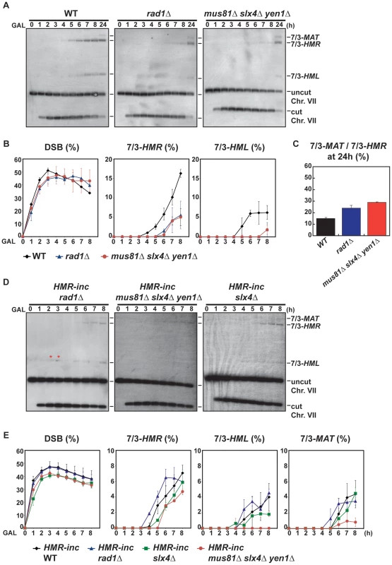 Template switching is affected in <i>mus81Δ slx4Δ yen1Δ</i> but not in <i>rad1Δ</i> mutants.