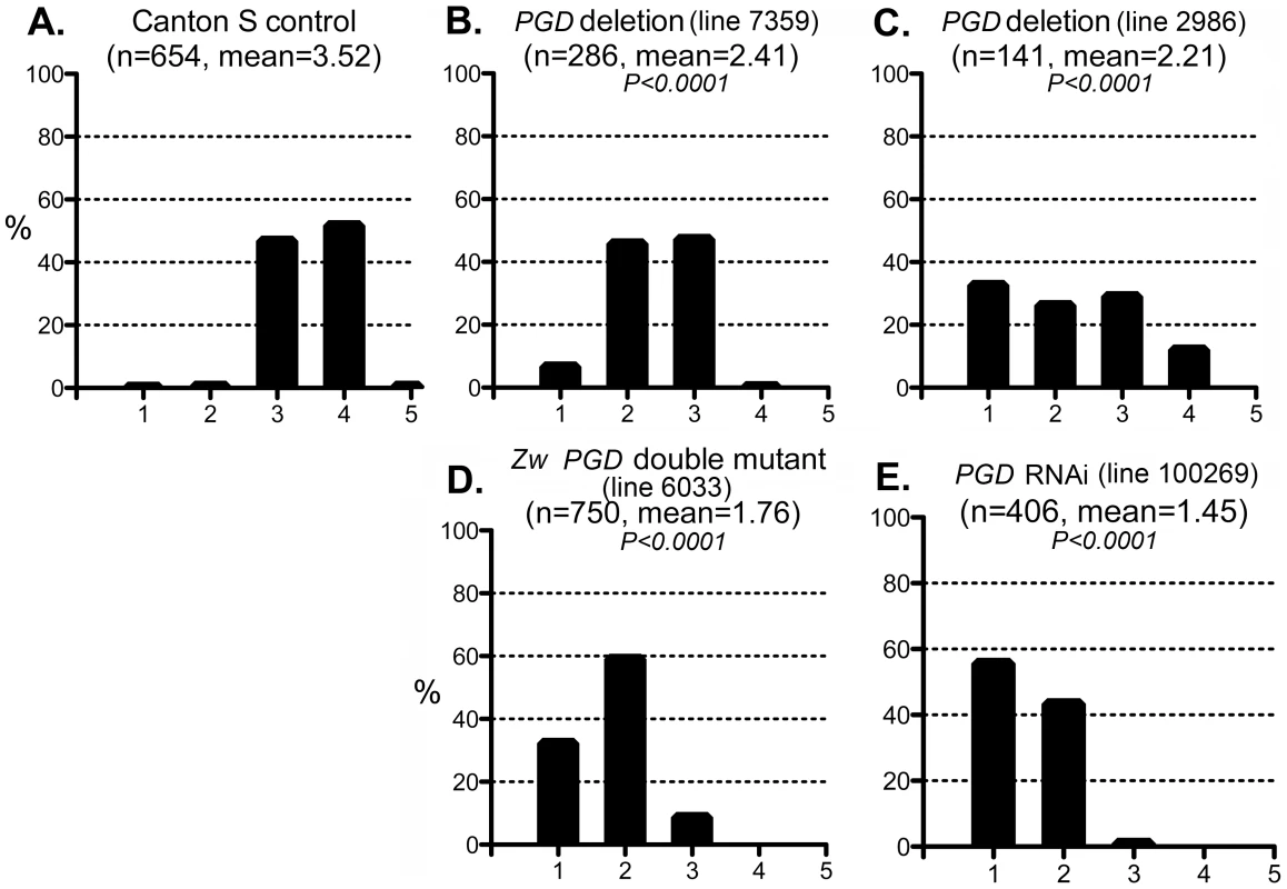 Effect of PGD reduction on the CryAB<sup>R120G</sup> phenotype.