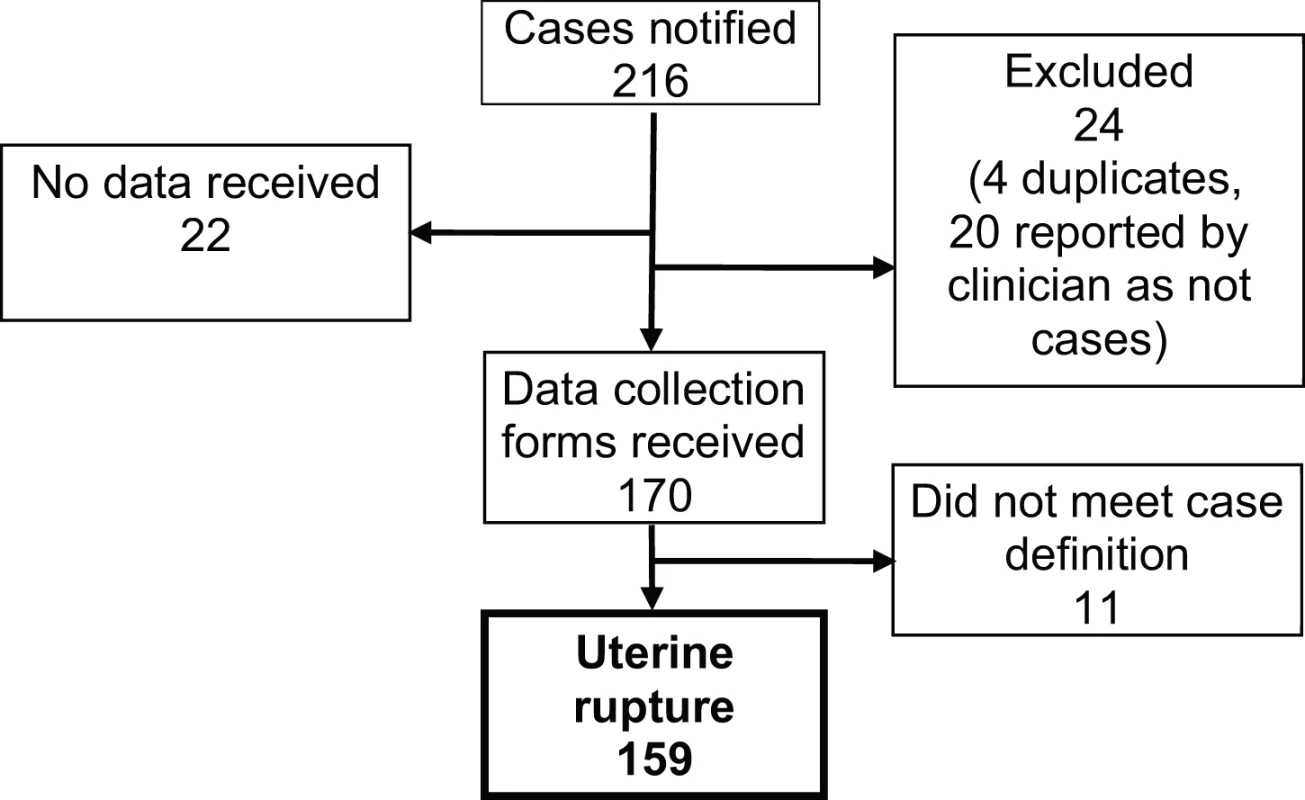 Case reporting and completeness of data collection.