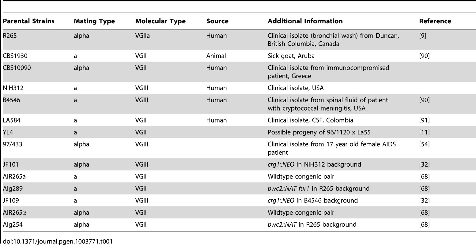 Parental <i>Cryptococcus gattii</i> strains used in this study used for crosses.