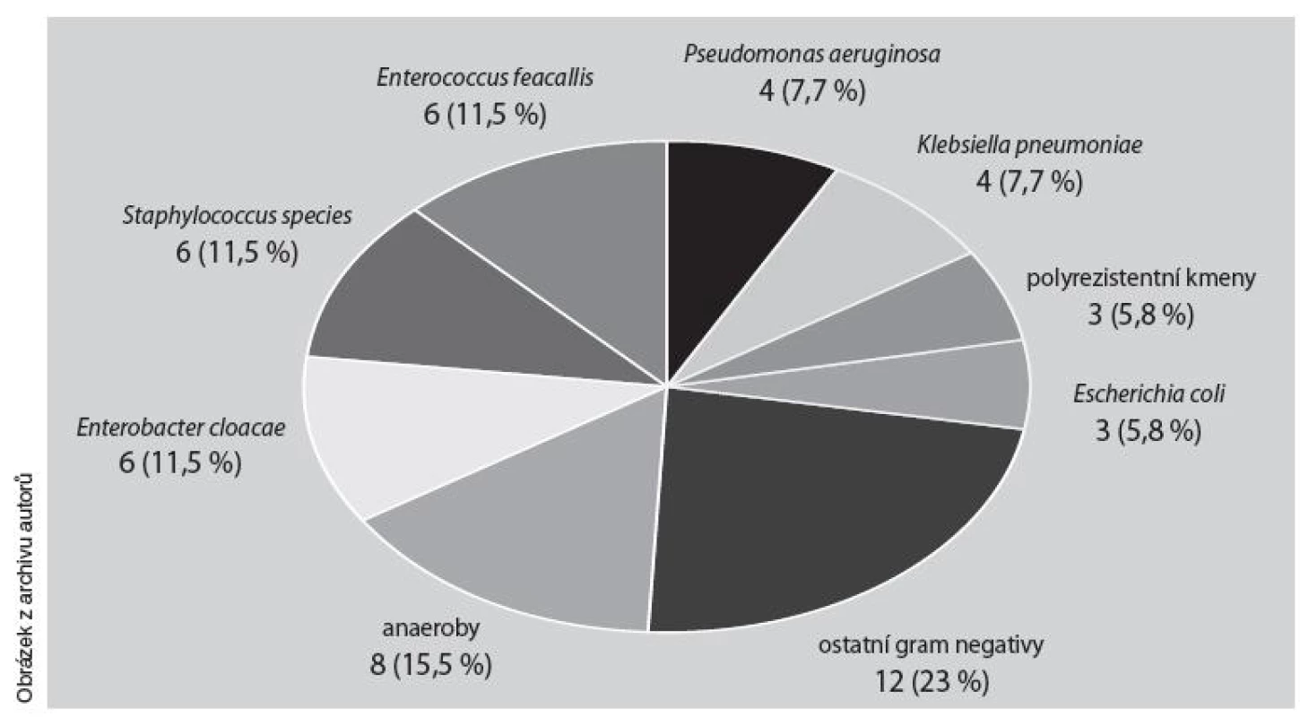 Mikrobiologická agens v traumatické ráně