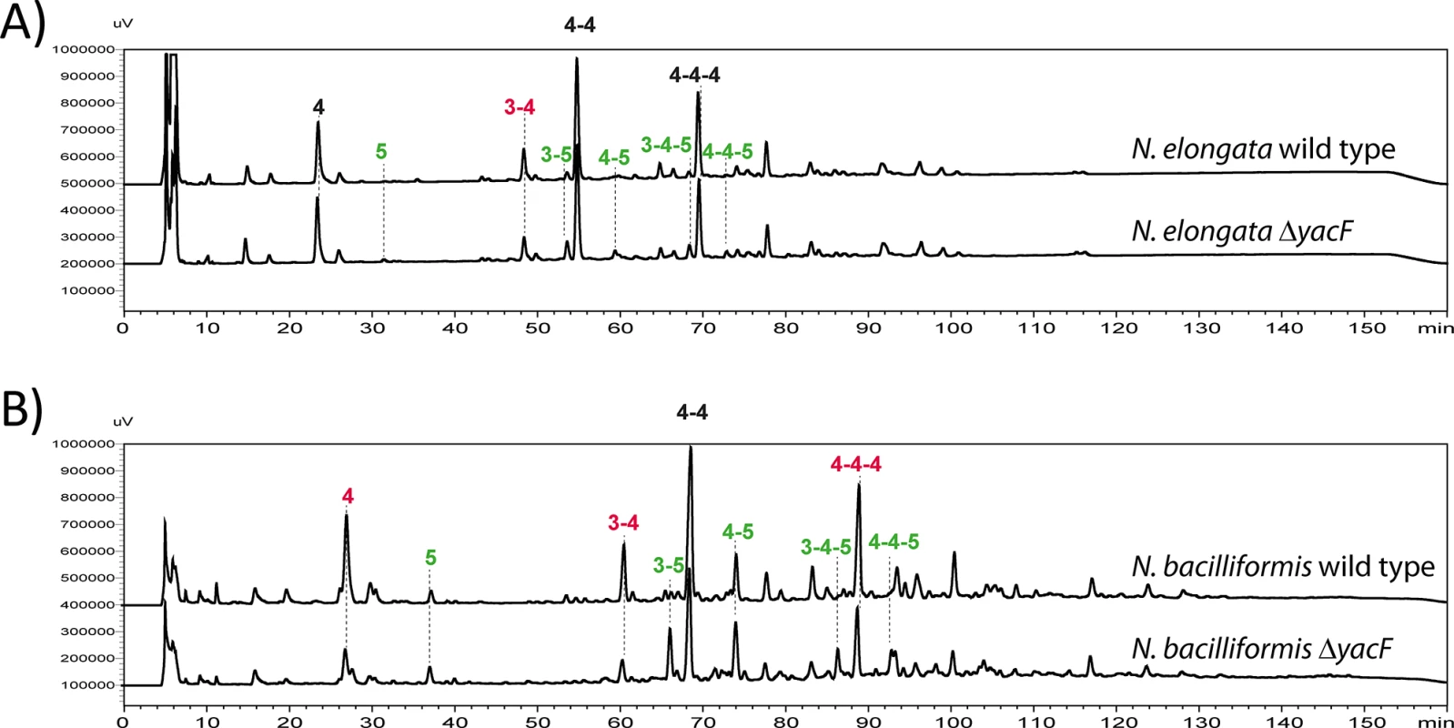 Increased proportion of pentapeptide muropetides in absence of YacF.