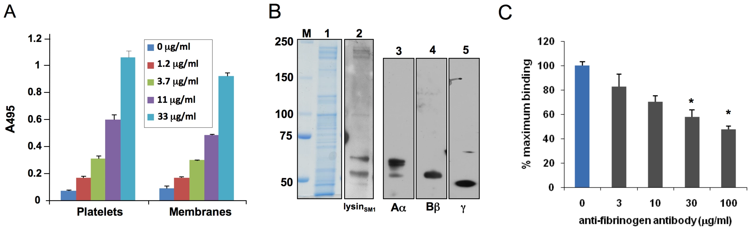 Lysin binding to platelet monolayers and platelet membranes.