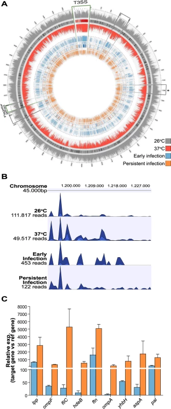 <i>In vivo Y. pseudotuberculosis</i> gene expression revealed by RNA-seq.