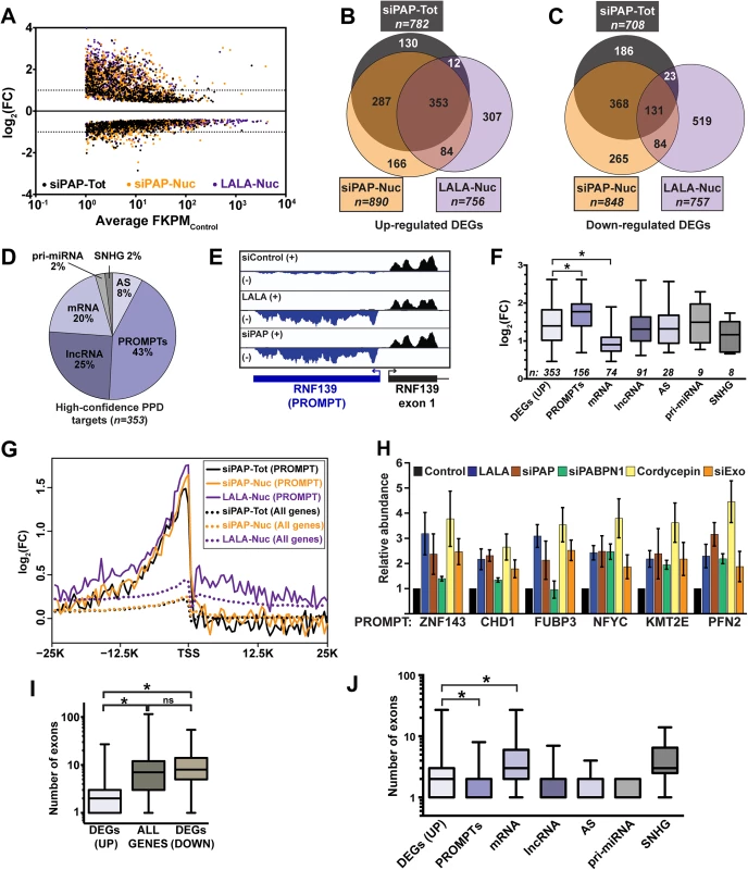 Global analysis of PPD targets.