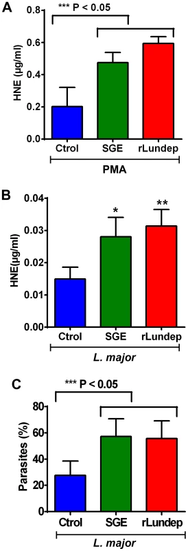 Quantification of released by activated neutrophils.