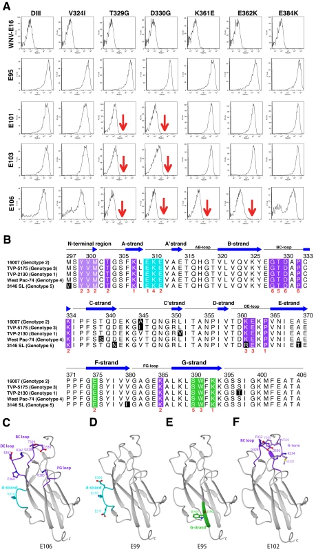 Epitope localization of anti-DENV-1 MAbs.