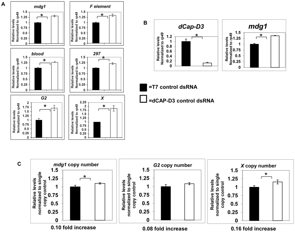 Global retrotransposon transcript levels and copy numbers increase as a result of decreased dCAP-D3 expression in somatic cells.