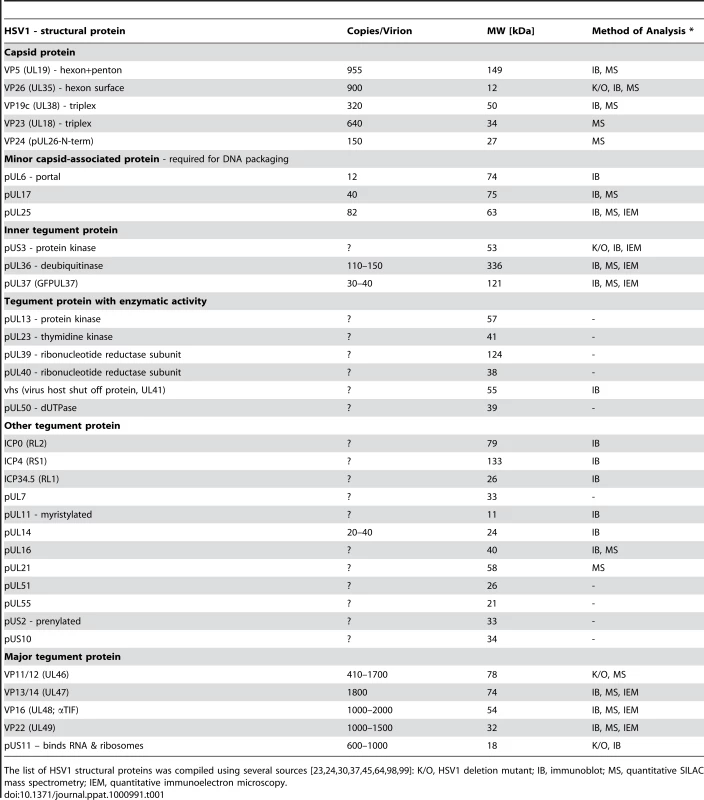 HSV1 proteins potentially interacting with cytosolic host factors.