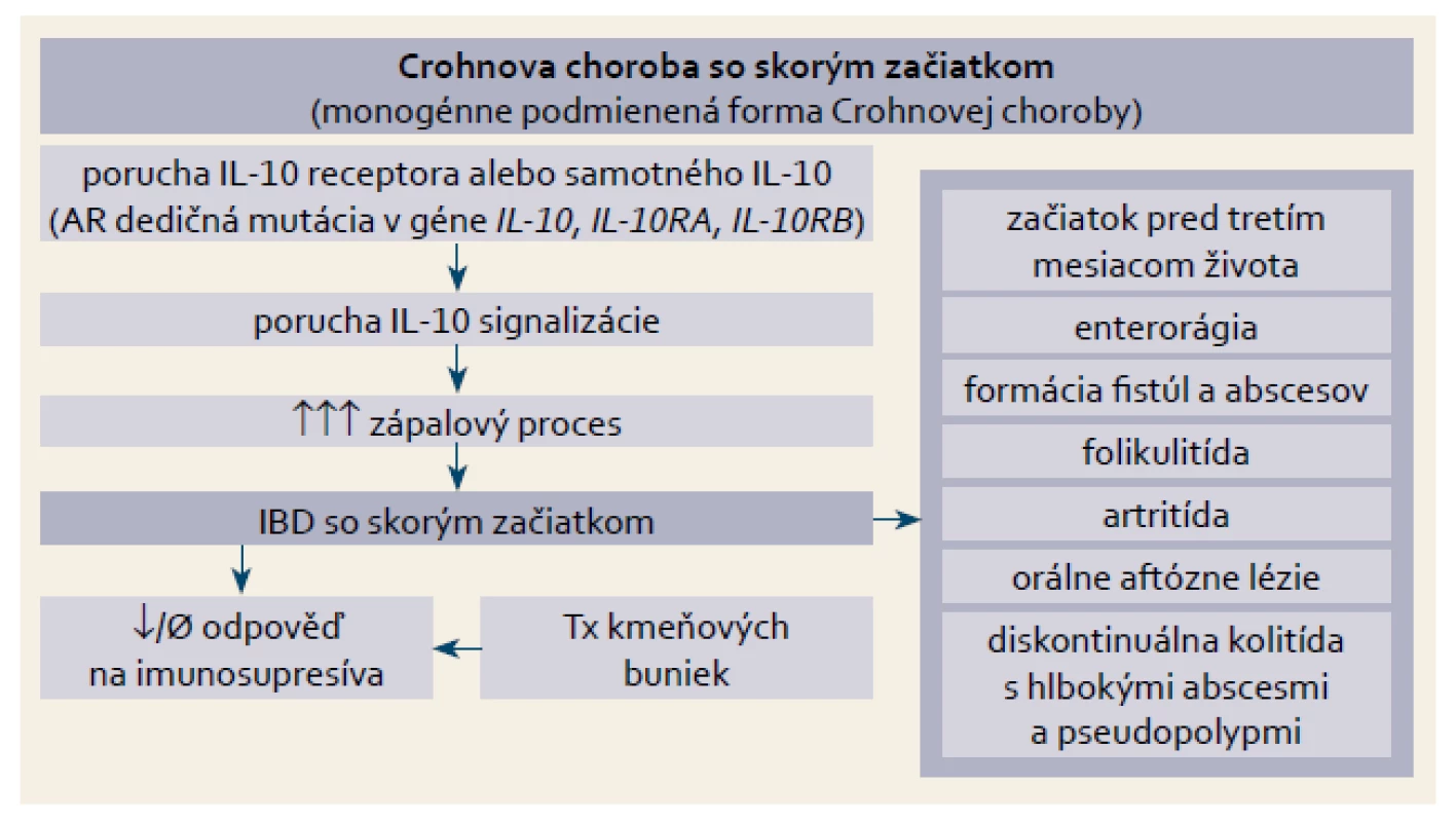 Etiopatogenéza a klinické prejavy poruchy signalizácie dráhy IL-10.
Fig. 3. Etiopathogenesis and clinical symptomatology associated with defective IL-10 signalling.