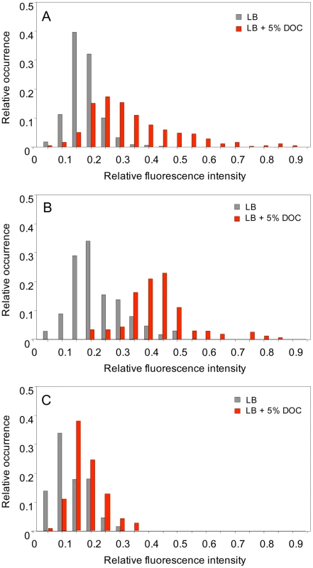 Levels of <i>osmY</i> gene expression in individual bacterial cells.