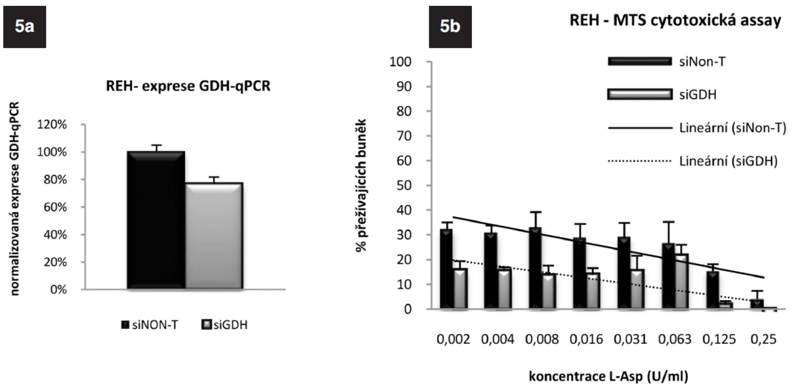 5a. Exprese genu pro GDH u linie REH po gradientovém umlčení tohoto genu metodou RNA-interference po 24 hodinách.
5b. Výsledek MTS cytotoxického testu REH buněk s gradientově umlčeným genem pro GDH.