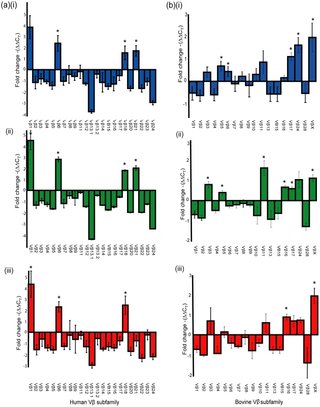 SElX activates Vβ-specific human and bovine Tcells.