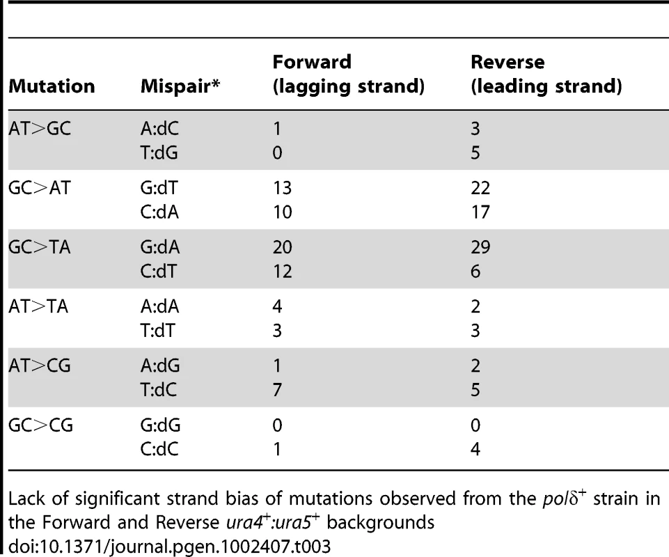 Lack of strand bias of mutants from <i>polδ</i><sup>+</sup>.