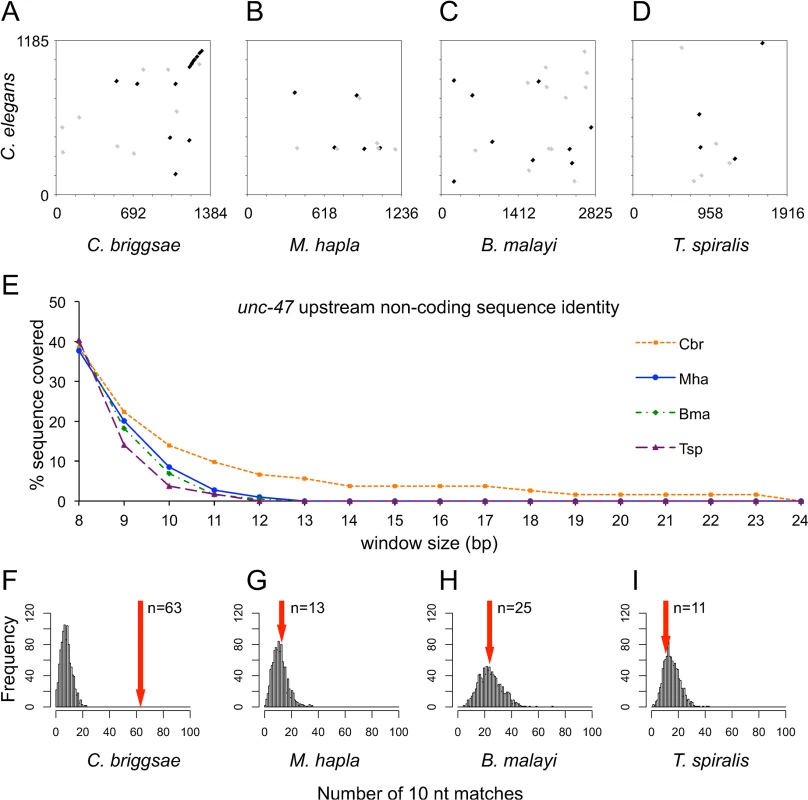 Sequence similarity of orthologous <i>unc-47 cis</i> elements.