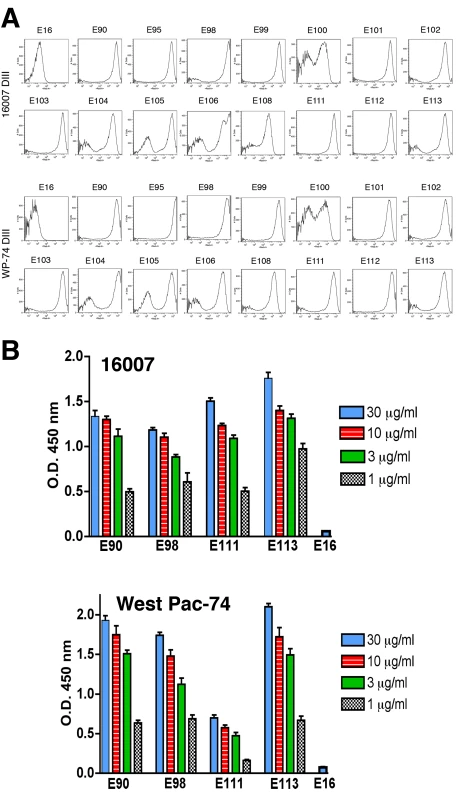 Binding of MAbs to DIII or virions of 16007 and West Pac-74.