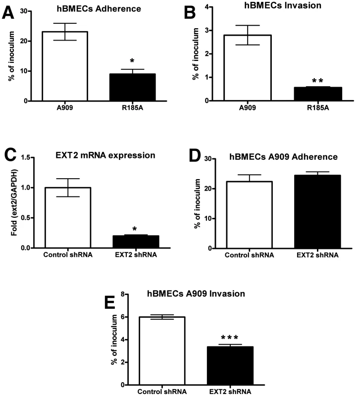 Contribution of GAG-binding activity of GBS to adherence and invasion of hBMECs.