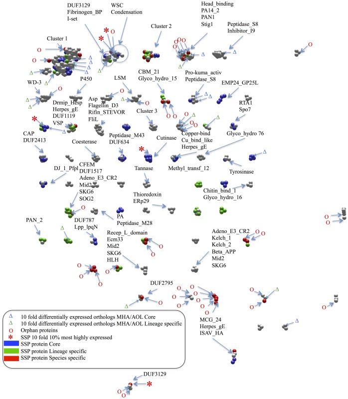 Sequence homology clustering of secreted proteins in <i>M. haptotylum</i>.
