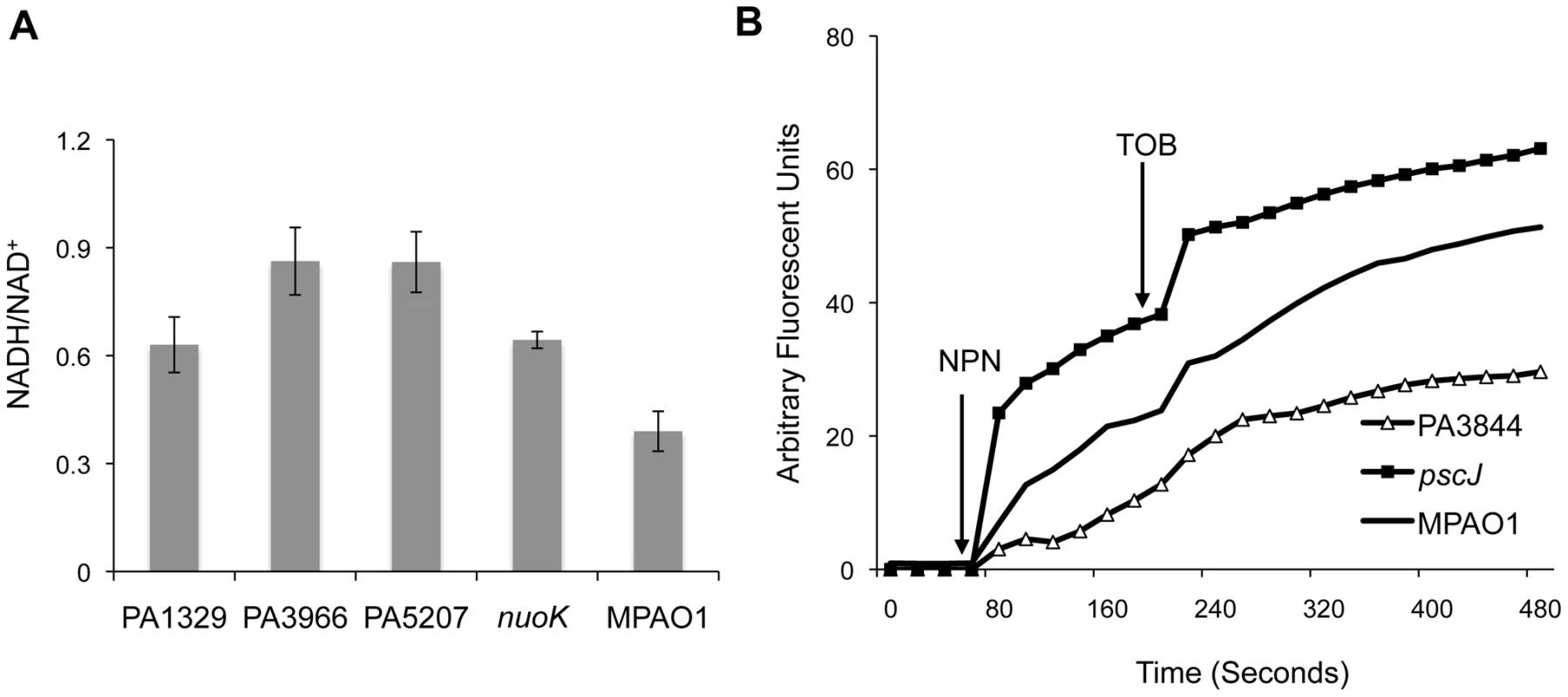 Functional classification of genes associated with antibiotic tolerance in biofilms.