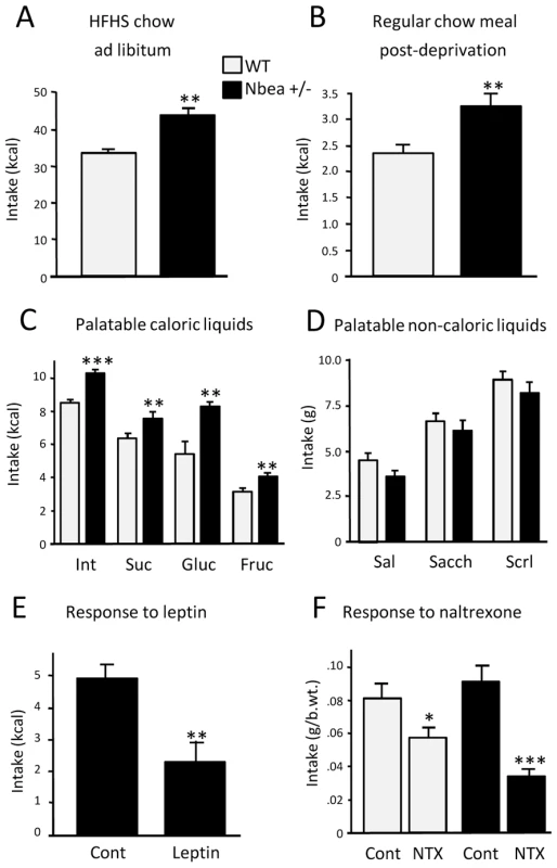 Differential feeding behavior of <i>Nbea+/−</i> and WT mice.
