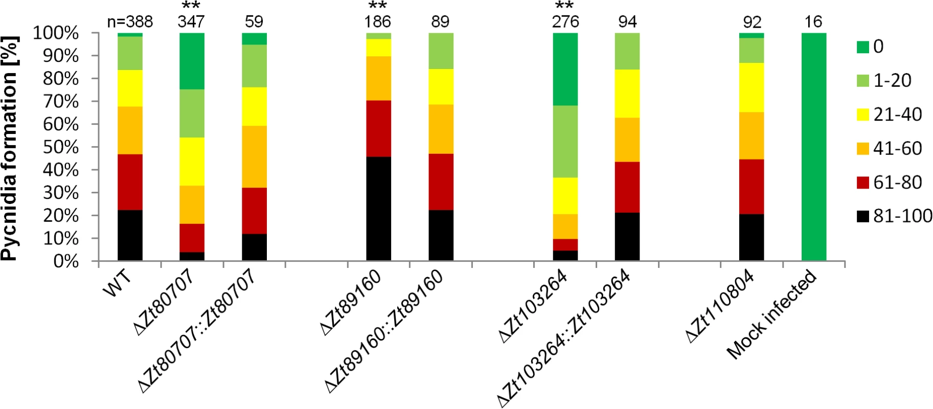 <i>In planta</i> phenotypic assay demonstrates impact of gene deletion in <i>Z</i>. <i>tritici</i>.