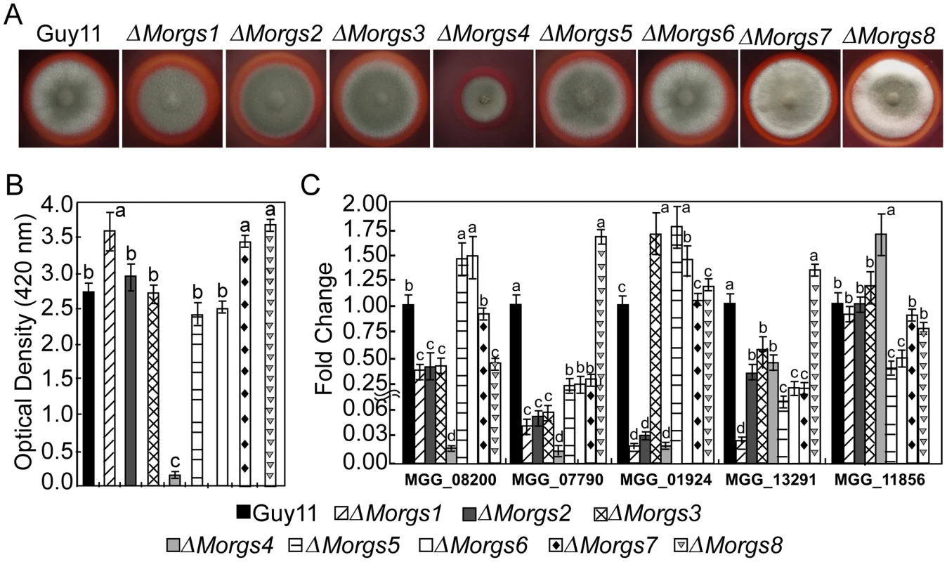 Measurement of activities of extracellular peroxidases.