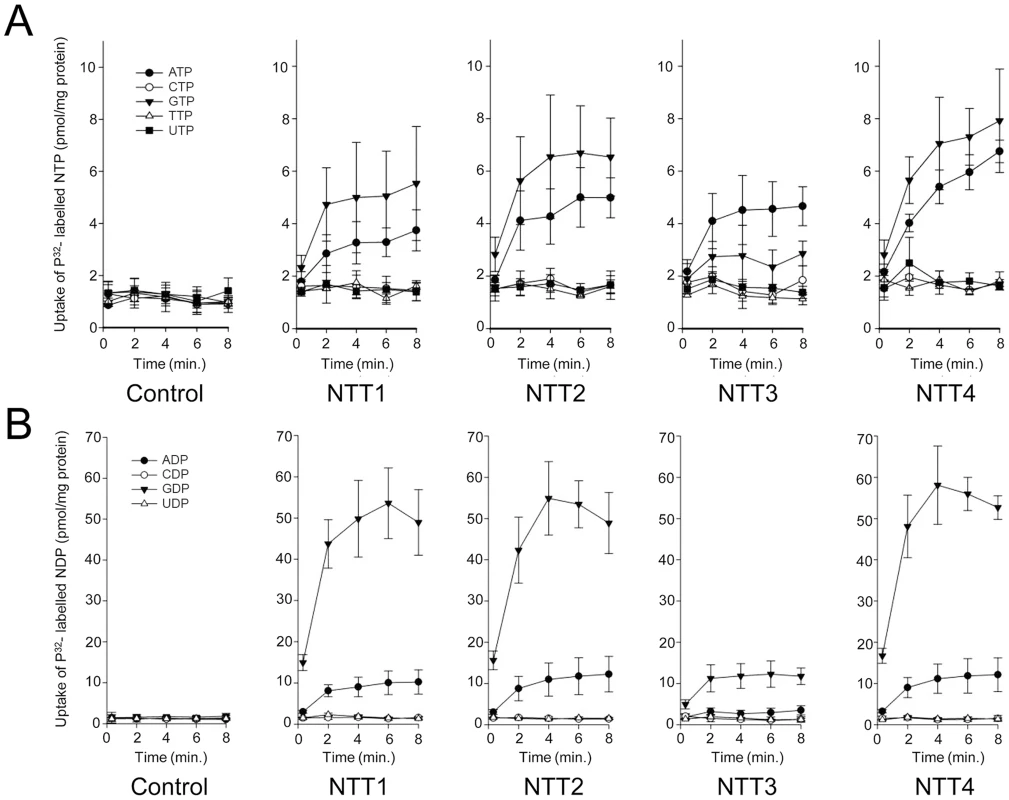 All four NTT proteins of <i>Trachipleistophora hominis</i> transport purine nucleotides but not pyrimidine nucleotides.