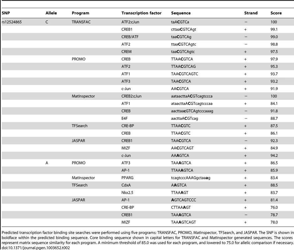 <i>In silico</i> allele-specific transcription factor binding to rs12524865.