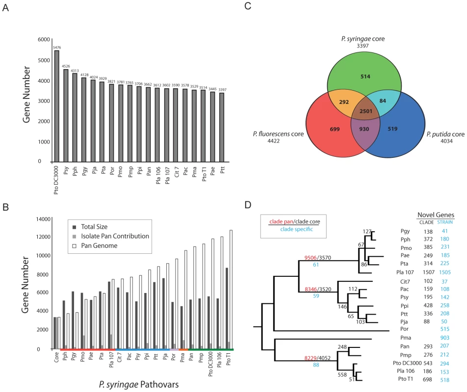 The core- and pan-genome of <i>P. syringae</i>.