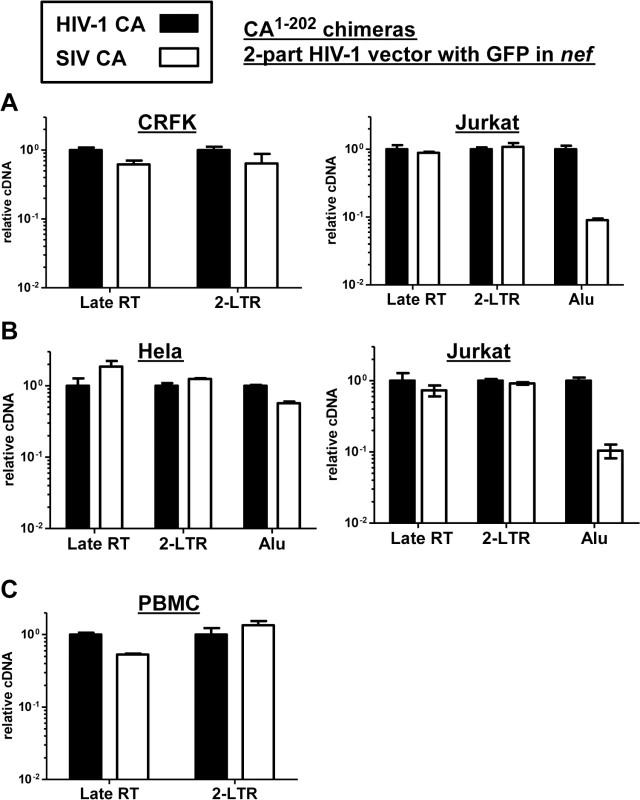 The block to SIV<sub>MAC</sub> infection of Jurkat T cells occurs after formation of 2-LTR circles.