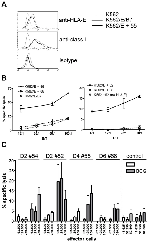 Predicted HLA-E binding Mtb peptide specific T-cell lines are cytotoxic.
