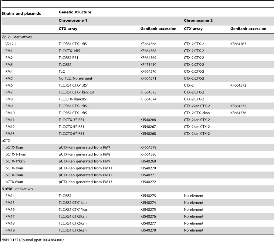 Genetic information on <i>V. cholerae</i> strains and pCTXs generated in this study.