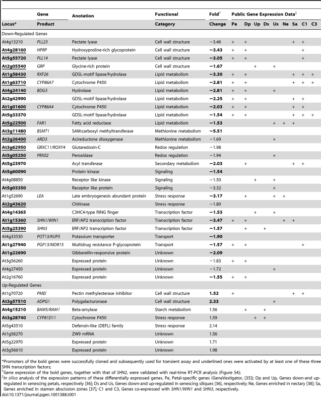 A list of genes that displayed up- or down-regulated expression in flower buds of the 35S:<i>miR-SHN1/2/3</i> plants as compared with wild-type ones.