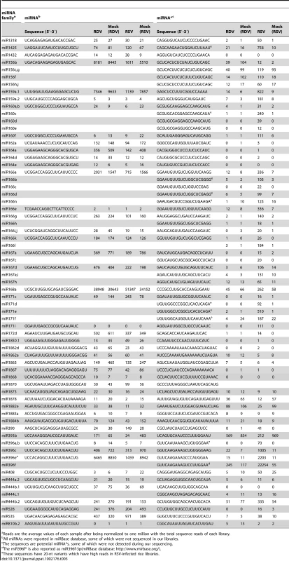 Comparison of deep sequencing reads of known miRNAs and miRNA*s from virus-infected and mock-inoculated rice libraries.