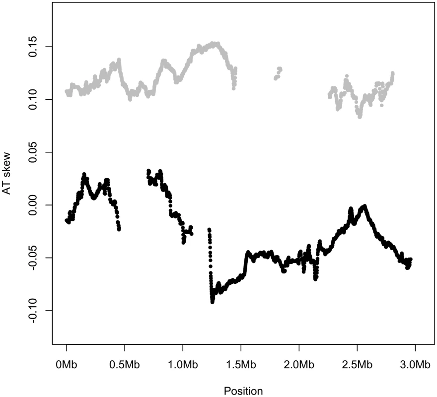 AT skew is similar along the entire length of genome for all noncomplementary genes (gray), while all complementary genes (black) display a similar AT skew.