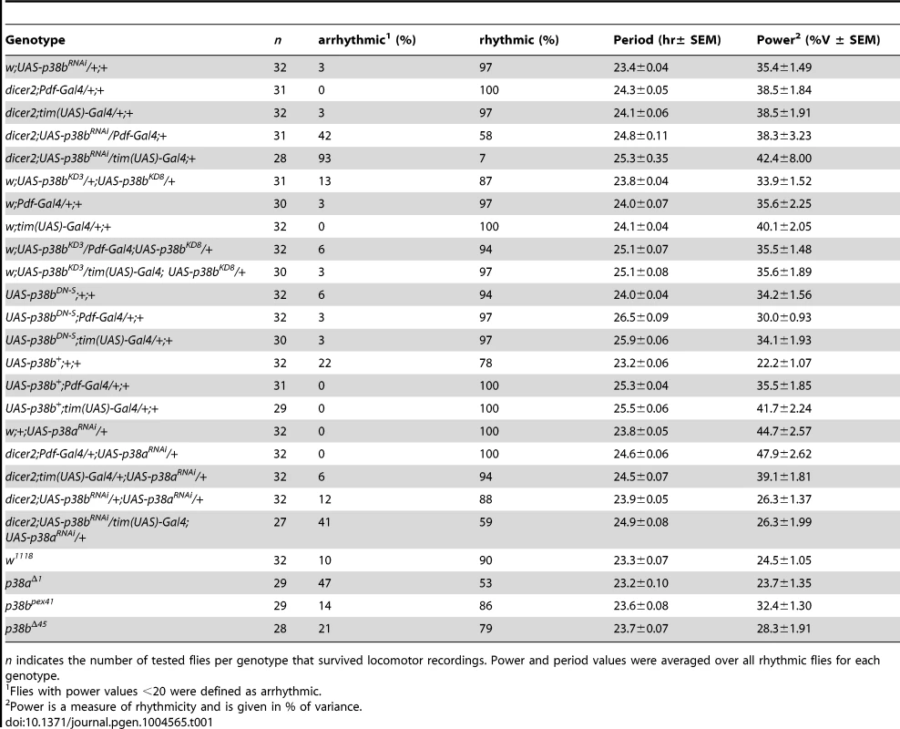 Rhythmicity and period length of all investigated genotypes in constant darkness (DD) according to χ<sup>2</sup>-periodogram analysis.