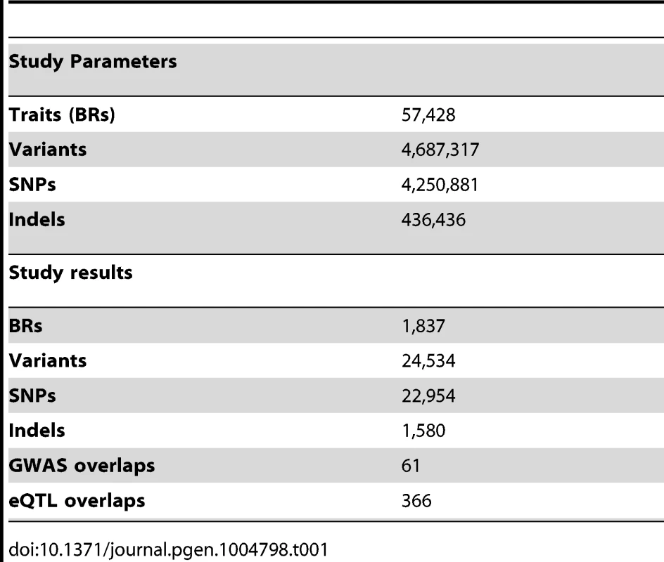 Summary statistics of the CTCF QTL scan.