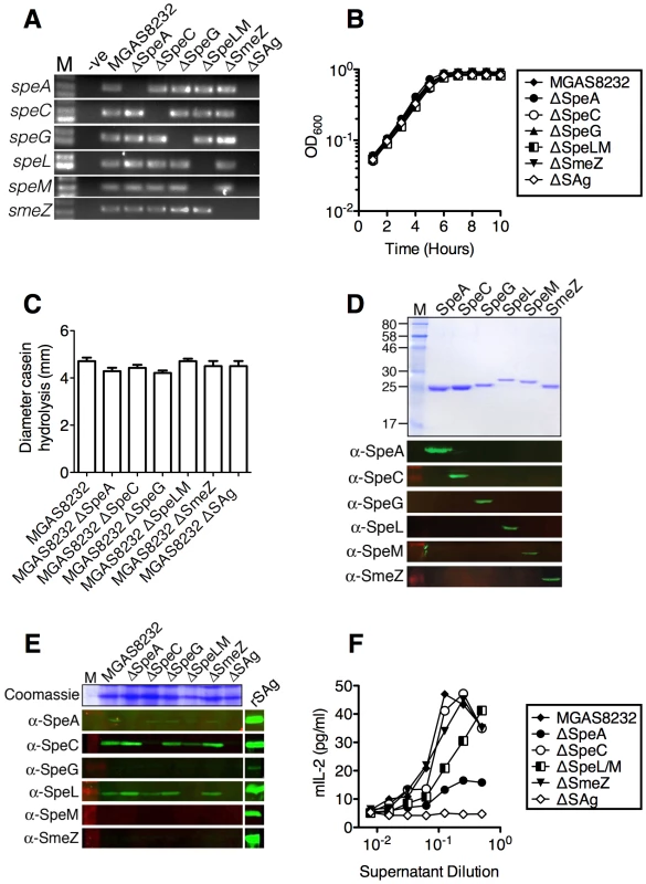 Generation of isogenic <i>S. pyogenes</i> genetic mutants lacking superantigen genes.