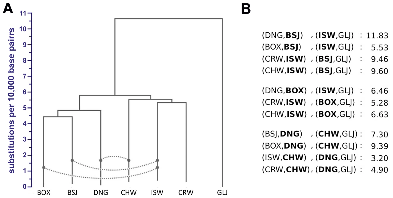 Neighbor-joining tree and admixture signatures from ABBA/BABA tests.