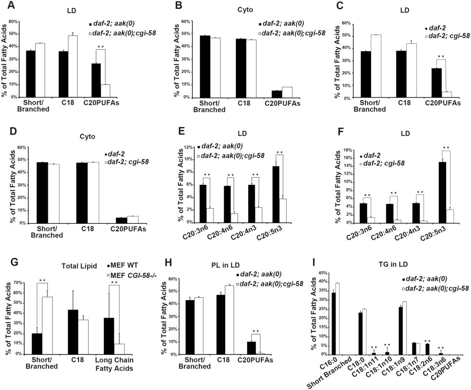 CGI-58 affect C20PUFA abundance in the lipid droplet membrane.