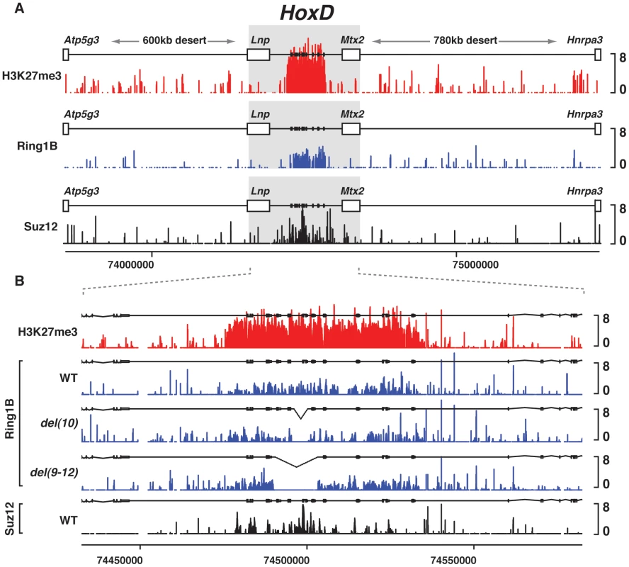 PRC1/2 profiles in various genetic configurations.