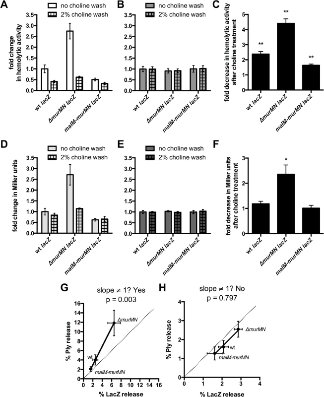Choline-binding proteins contribute to Ply and LacZ release in a <i>murMN</i>-dependent manner.