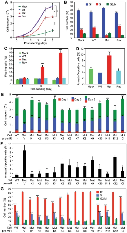 KSHV miRs promote cellular proliferation by regulating cell cycle and inhibiting apoptosis.