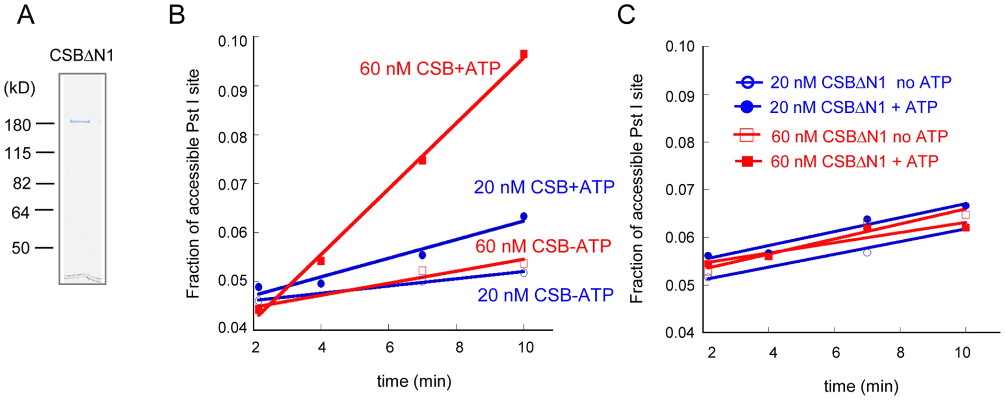 The N1 Region of CSB Is Critical for Chromatin Remodeling.